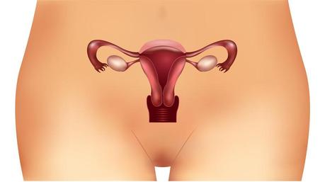 ¿Cómo se trata la obstrucción de las trompas de Falopio?