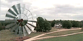 Reseña: ¡Tenemos una granja! - Ester G. Escobar