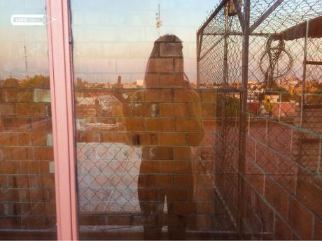 ▷ Escritos de bolsillo: mi querido DF ✅ mexico ▷ Escritos de bolsillo: mi querido DF ✅