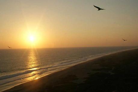 chacahua ▷ Mis 3 playas favoritas de Oaxaca | Bienvenida al paraíso ✅