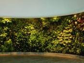Jardines verticales