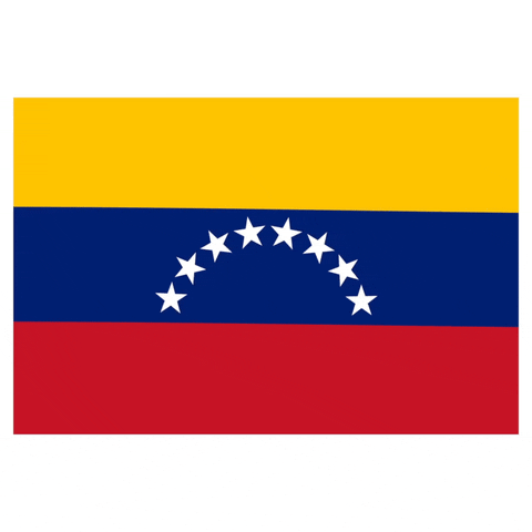 Venezuela GIF by Latinoji - Find & Share on GIPHY