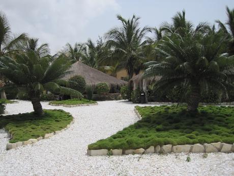 IMG_2926 ▷ El Lago Rosa. El lugar que una vez fue bello.