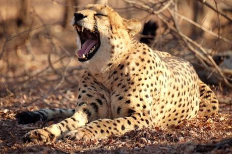 FullSizeRender_4-1 ▷ Viaje en solitario en Sudáfrica: ¿es seguro?