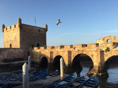 IMG_5722-min-e1531087088317 ▷ Essaouira