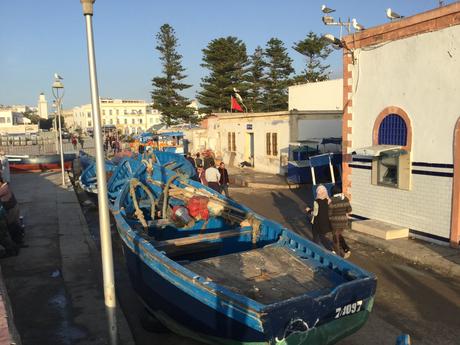 IMG_5703-min ▷ Essaouira