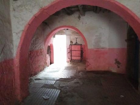 IMG_20180112_121449_HHT-min-e1531087440951 ▷ Essaouira