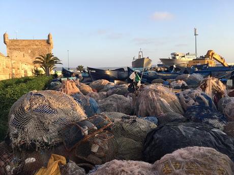 IMG_5737_opt ▷ Essaouira