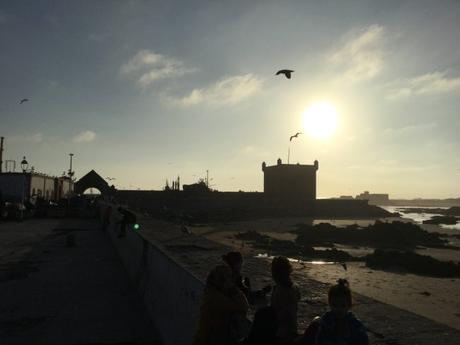 IMG_5699-min-e1531086938326 ▷ Essaouira