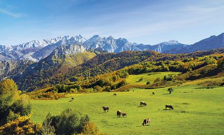 ▷ 7 Reservas de la Biosfera para que disfrutes sin límite ✅ 02a7c056-5227-4c29-b895-b546bb8f13a8?t=1552487372592 ▷ 7 Reservas de la Biosfera para que disfrutes sin límite ✅