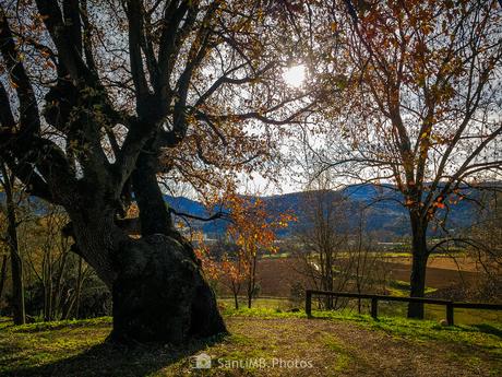 Mañana de invierno en la Garrotxa