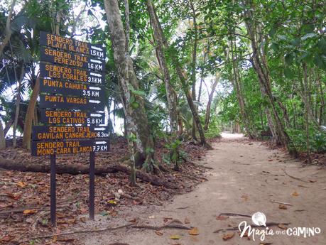 Parque Nacional Cahuita y Puerto Viejo, en el Caribe Sur de Costa Rica