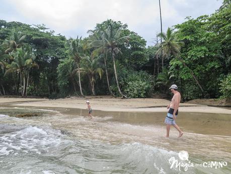 Parque Nacional Cahuita y Puerto Viejo, en el Caribe Sur de Costa Rica