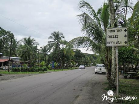 Parque Nacional Cahuita y Puerto Viejo, en el Caribe Sur de Costa Rica