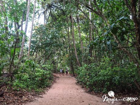 Parque Nacional Cahuita y Puerto Viejo, en el Caribe Sur de Costa Rica
