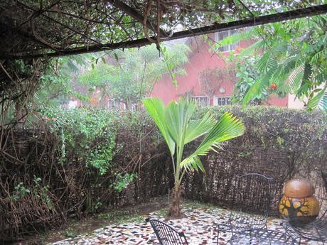 ▷ La Reserva de Bandia y Accro Baobab Adventures IMG_3352 ▷ La Reserva de Bandia y Accro Baobab Adventures