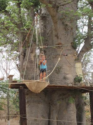 IMG_3323 ▷ La Reserva de Bandia y Accro Baobab Adventures