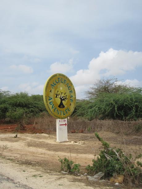 ▷ La Reserva de Bandia y Accro Baobab Adventures IMG_3301 ▷ La Reserva de Bandia y Accro Baobab Adventures