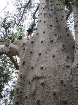▷ La Reserva de Bandia y Accro Baobab Adventures IMG_3338 ▷ La Reserva de Bandia y Accro Baobab Adventures