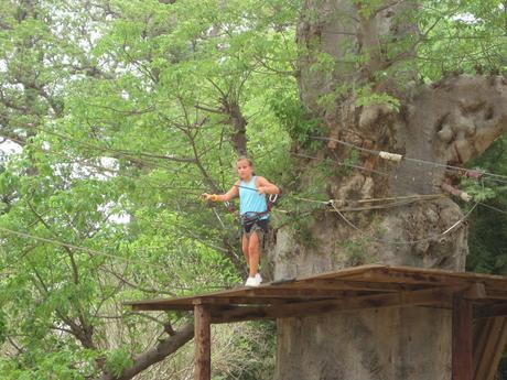 ▷ La Reserva de Bandia y Accro Baobab Adventures IMG_3328 ▷ La Reserva de Bandia y Accro Baobab Adventures