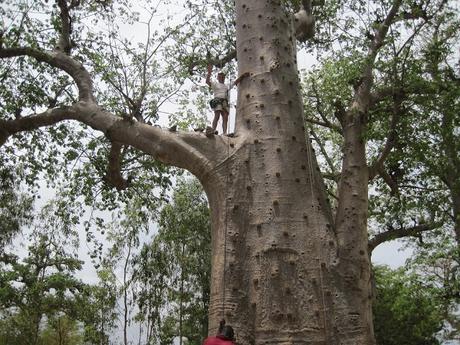 ▷ La Reserva de Bandia y Accro Baobab Adventures IMG_3341 ▷ La Reserva de Bandia y Accro Baobab Adventures