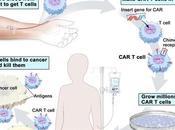 Terapia CAR-T: Súper-guerreros contra cáncer