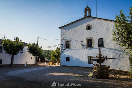 Donde se hace el vino