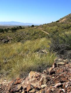 Las minas de hierro del Cabezo del Charco.