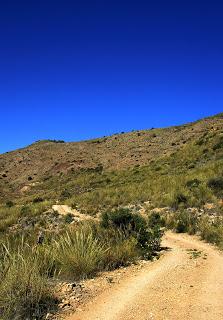 Las minas de hierro del Cabezo del Charco.