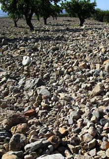 Las minas de hierro del Cabezo del Charco.