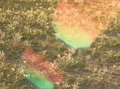 Documental Chileno seleccionado Cinema Réel Francia