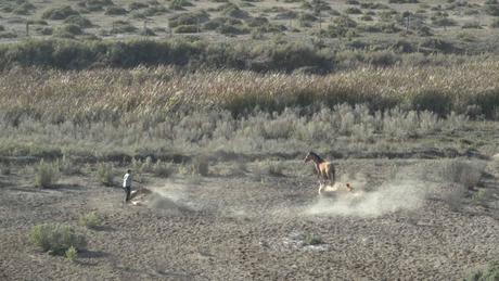 Documental Chileno es seleccionado en Cinema Du Réel en Francia