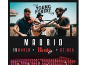 Sal150 Young Forest Boite Live