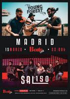Concierto de Sal150 y Young Forest en Boite Live