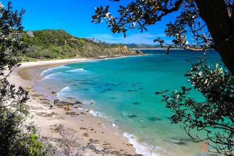 Byron-Bay-3531 ▷ Comente en 5 impresionantes playas de Byron Bay que debe poner un pie por turismo en Byron Bay, Australia | Buckpacker