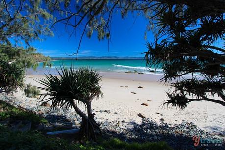 byron-bay-beaches-37 ▷ Comente en 5 impresionantes playas de Byron Bay que debe poner un pie por turismo en Byron Bay, Australia | Buckpacker