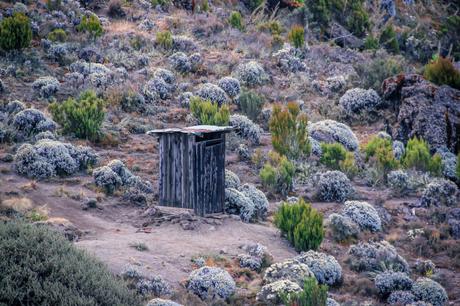 ▷ 5 problemas de viaje que solo las mujeres entenderán female-travel-problems-commode-1024x683 ▷ 5 problemas de viaje que solo las mujeres entenderán