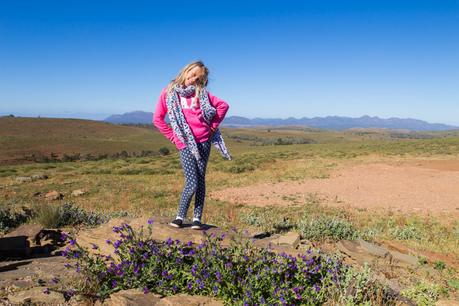 ▷ Cómo equilibrar la escuela con el viaje (8 consejos simples) flinders-ranges-national-park-south-australia-1-1 ▷ Cómo equilibrar la escuela con el viaje (8 consejos simples)