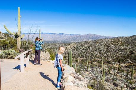 saguaro-national-park-east-9 ▷ Comenta sobre 8 cosas increíbles para hacer en el Parque Nacional Saguaro en Tucson, Arizona por Why I Love Loews Ventana Tucson Canyon: un resort familiar