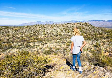 saguaro-national-park-east-3 ▷ Comenta sobre 8 cosas increíbles para hacer en el Parque Nacional Saguaro en Tucson, Arizona por Why I Love Loews Ventana Tucson Canyon: un resort familiar