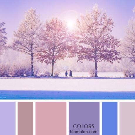 Variedad En Color 13 Paletas