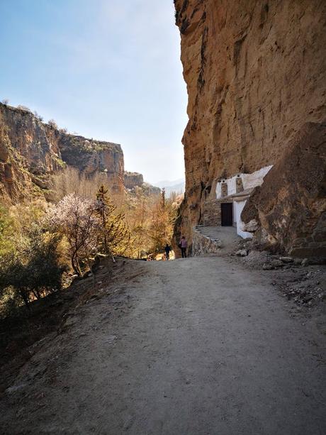 paisaje alhama