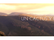 Historias cactus