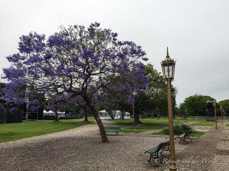 Buenos-Aires-travel-tips ▷ 15 cosas importantes que debe saber antes de visitar Buenos Aires