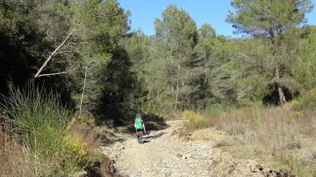 Salt de Castellvell del Camp | Tarragona