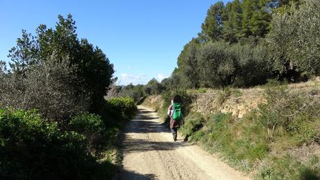 Salt de Castellvell del Camp | Tarragona