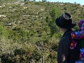 Penya l'Àliga Garraf