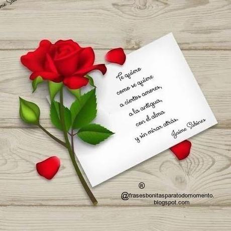 💜Te quiero como se quiere a ciertos amores, a la antigua, con el alma y sin mirar atrás.💙 ↬Jaime Sabines