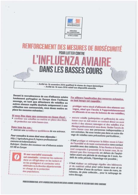 Location Voiture Intermarché Illustration Que Vraiment Gracieux