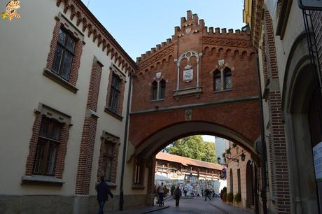 Cracovia y las minas de sal de Wieliczka